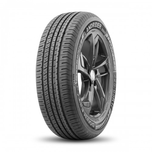 Шина 225/60R18 100H ДаблСтар DS09 Лето Шина 225/60R18 100H ДаблСтар DS09 Лето