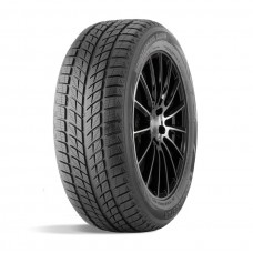 Шина 315/35R20 106T ДаблСтар DW09 Зима