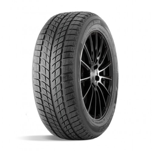 Шина 315/35R20 106T ДаблСтар DW09 Зима