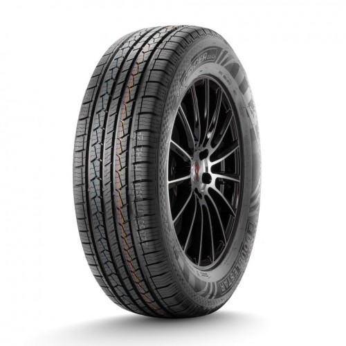 Шина 255/55R20 110V ДаблСтар DS01 Лето